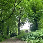 Sonas Mount Trenchard