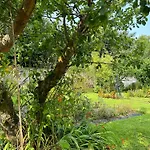 Sonas Mount Trenchard * Foynes