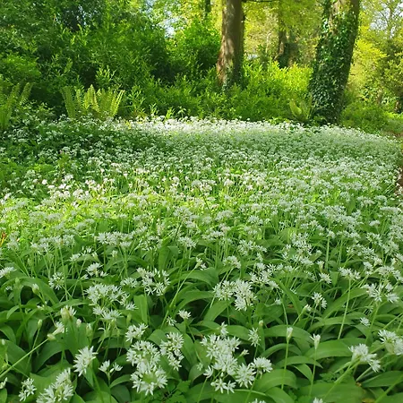 Sonas Mount Trenchard 펜션 *