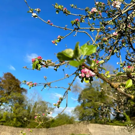 Sonas Mount Trenchard Foynes