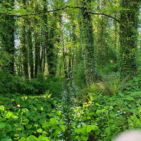 Sonas Mount Trenchard *