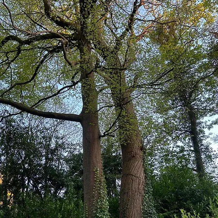 펜션 Sonas Mount Trenchard Foynes