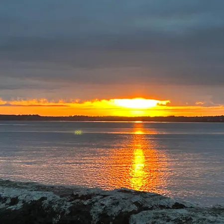Sonas Mount Trenchard * Foynes