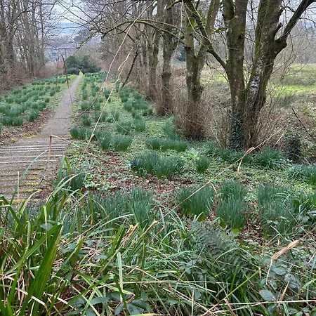 Sonas Mount Trenchard Foynes