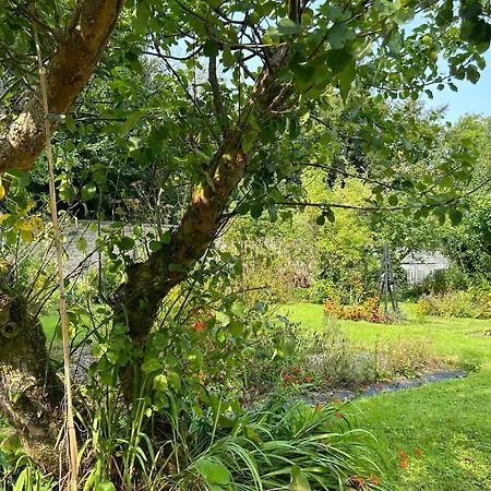 Sonas Mount Trenchard * Foynes