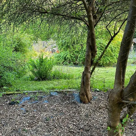 펜션 Sonas Mount Trenchard Foynes