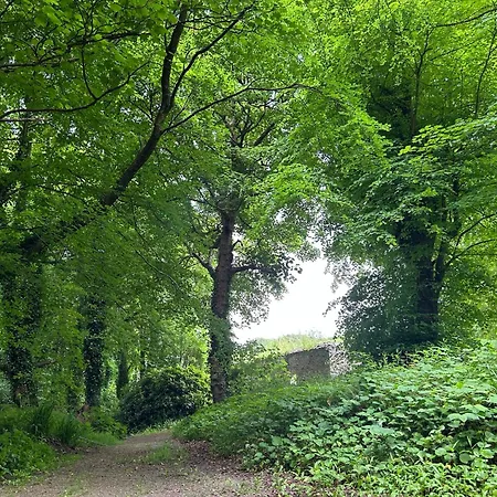 Sonas Mount Trenchard * Foynes
