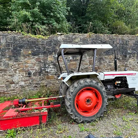 Sonas Mount Trenchard * Foynes