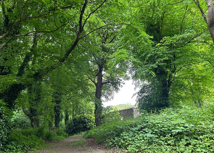 Sonas Mount Trenchard