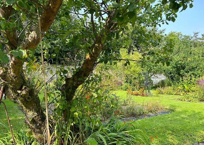 Sonas Mount Trenchard * Foynes